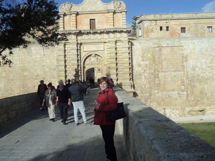  - 18-02-2017 HOTEL GOLDEN TULIP VIVALDI DIN PACEVILLE SI VIZITA LA MDINA