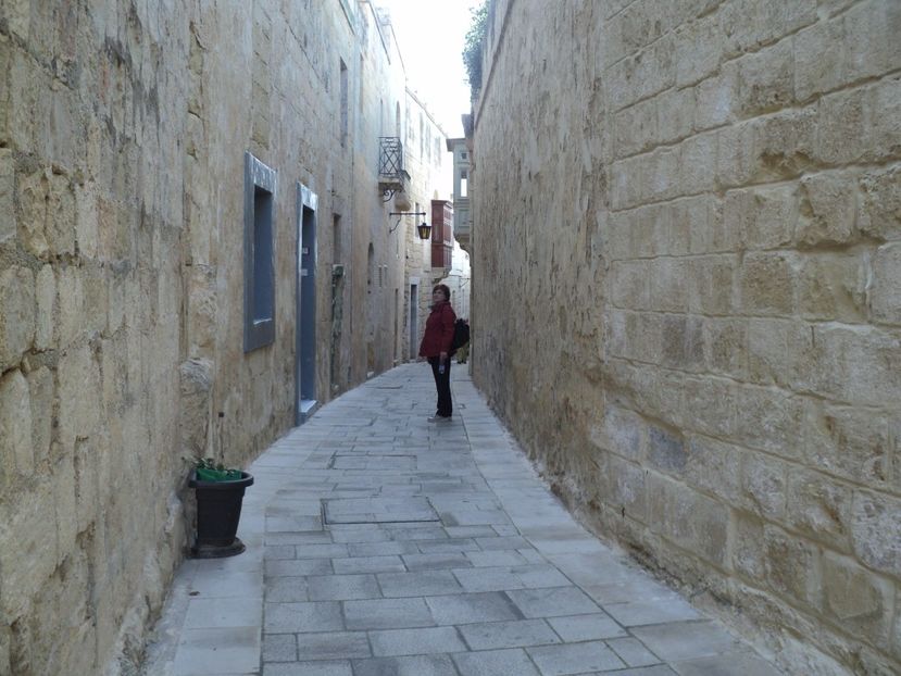  - 18-02-2017 HOTEL GOLDEN TULIP VIVALDI DIN PACEVILLE SI VIZITA LA MDINA