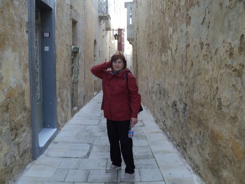  - 18-02-2017 HOTEL GOLDEN TULIP VIVALDI DIN PACEVILLE SI VIZITA LA MDINA