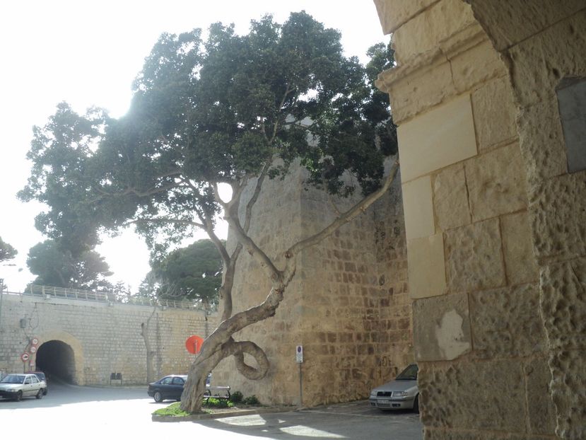  - 18-02-2017 HOTEL GOLDEN TULIP VIVALDI DIN PACEVILLE SI VIZITA LA MDINA