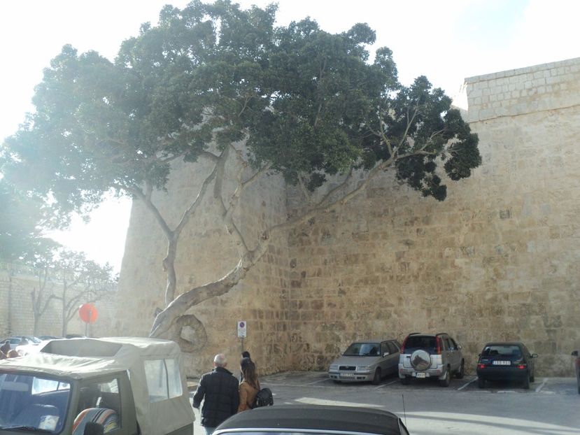  - 18-02-2017 HOTEL GOLDEN TULIP VIVALDI DIN PACEVILLE SI VIZITA LA MDINA