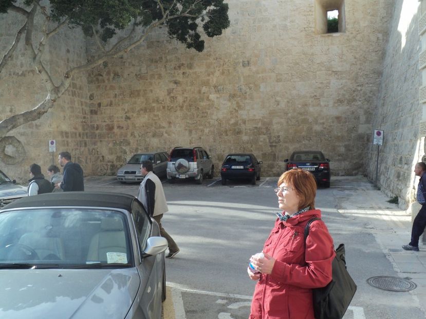  - 18-02-2017 HOTEL GOLDEN TULIP VIVALDI DIN PACEVILLE SI VIZITA LA MDINA