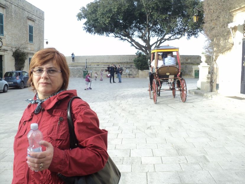  - 18-02-2017 HOTEL GOLDEN TULIP VIVALDI DIN PACEVILLE SI VIZITA LA MDINA