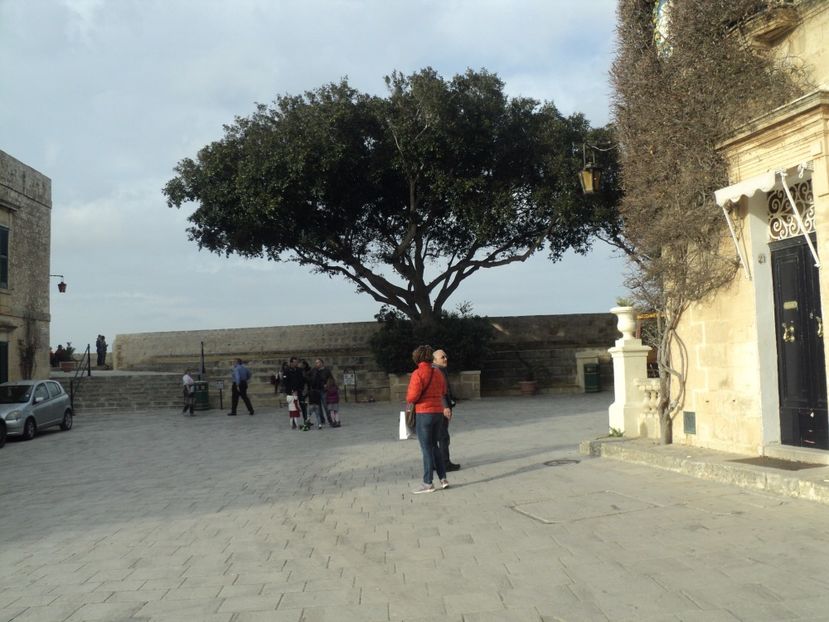  - 18-02-2017 HOTEL GOLDEN TULIP VIVALDI DIN PACEVILLE SI VIZITA LA MDINA