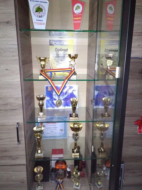  - 2g trofee 2015- 2016-2017