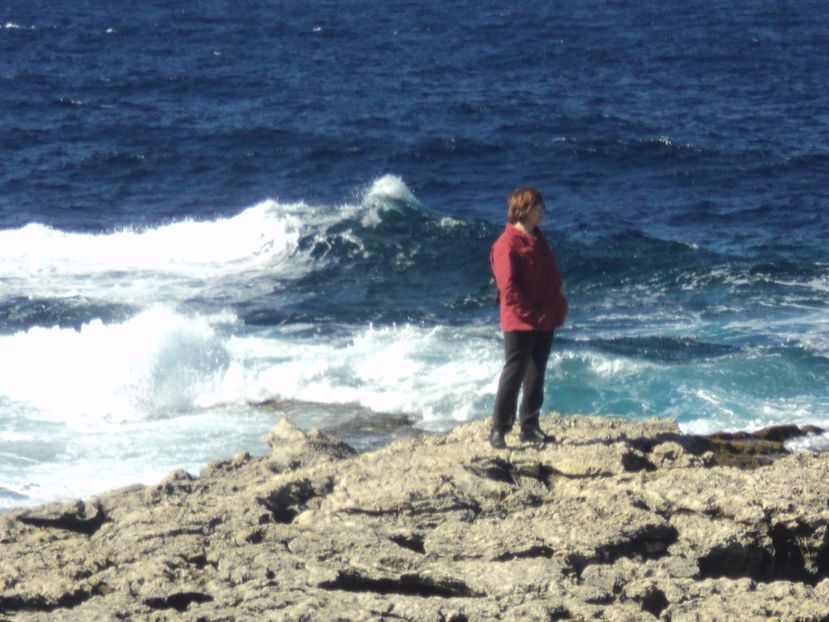  - 21-02-2017 INSULA GOZO