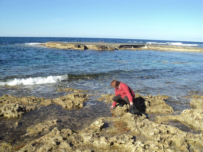  - 21-02-2017 INSULA GOZO