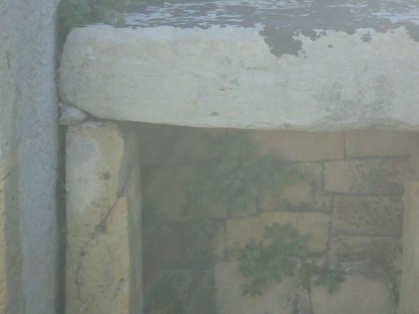  - 21-02-2017 INSULA GOZO
