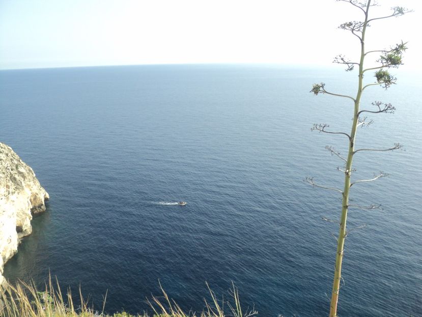  - 23-02-2017  RABAT_ BLUE GROTTE_ZURRIEQ