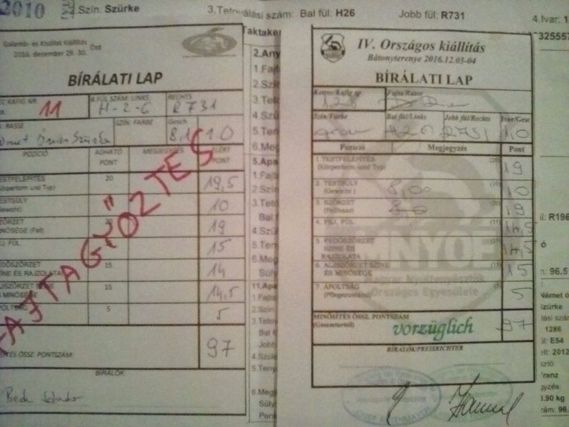  - CUIB CU 4 PUISORI DIN 23 02 2017