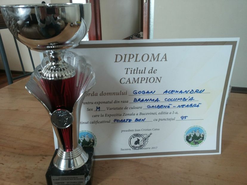  - Pasarile mele la EXPO-locala Asociatia Bucovina 2016-2017