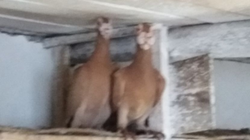  - CONTACT 0733561701