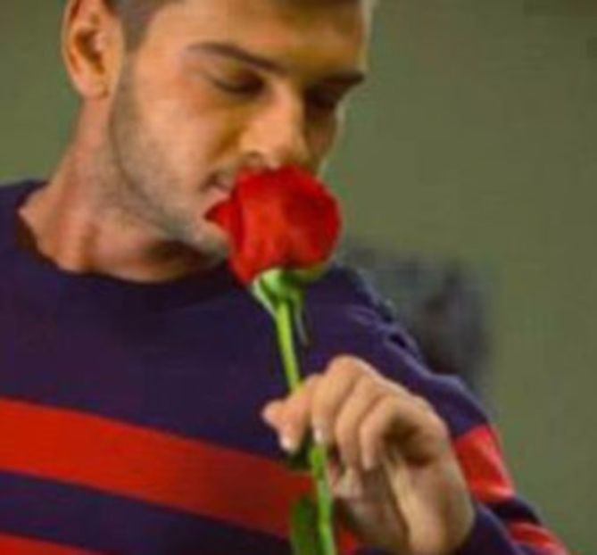 101972576_YDNKSBR - 01 andrei - pmv