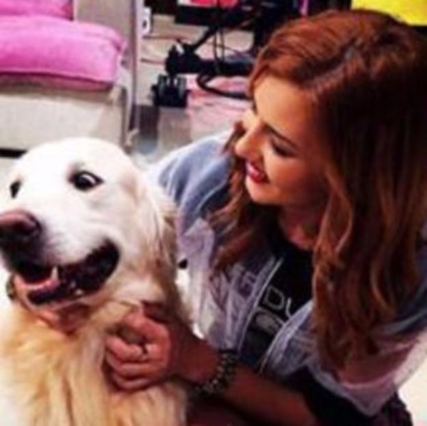 103644855_HZKRXAL3 - 01 ae - pmv