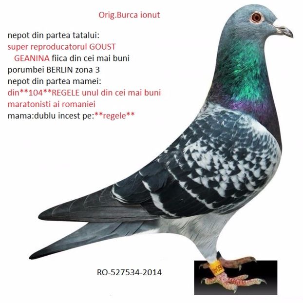 super maraton - perechea 10