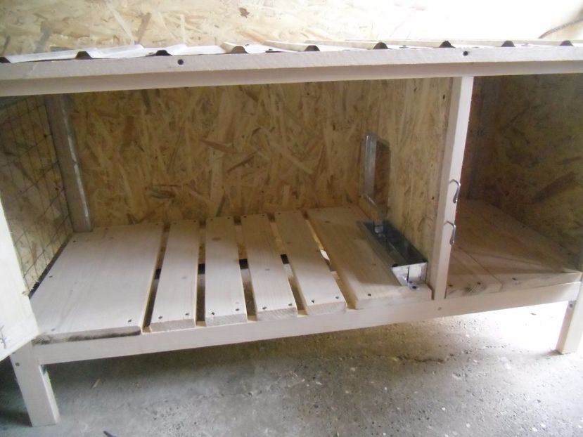 CIMG8718 - HRANITORI PENTRU CEREALE