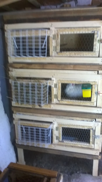 Nr 1 - Locatia iepurilor