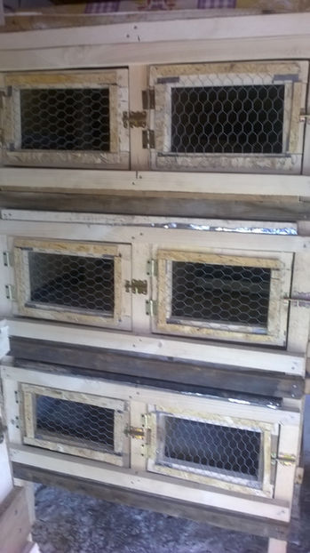 Nr 2 - Locatia iepurilor