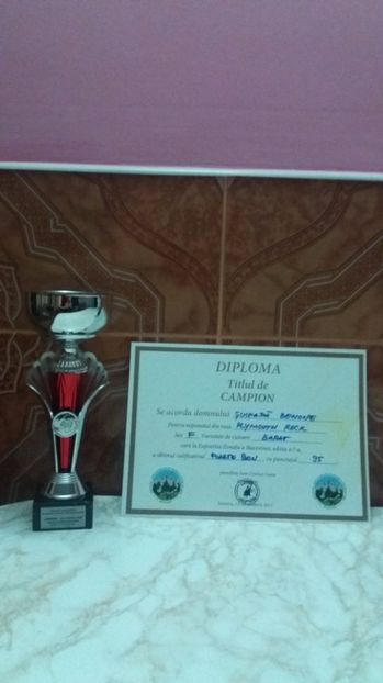  - Expozitia Suceava 13 14 15 ianuarie 2017