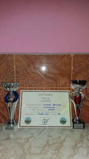  - Expozitia Suceava 13 14 15 ianuarie 2017