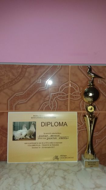  - Expozitia Suceava 13 14 15 ianuarie 2017