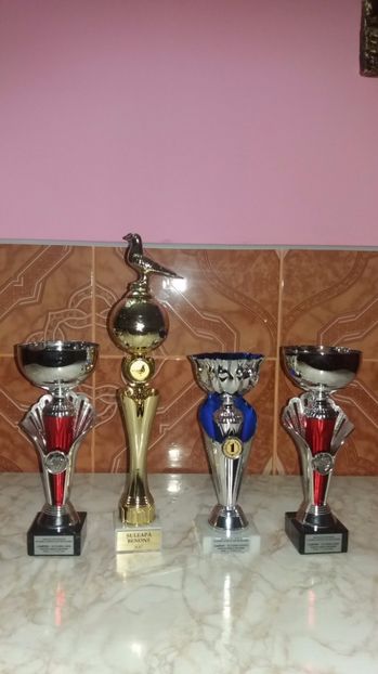  - Expozitia Suceava 13 14 15 ianuarie 2017