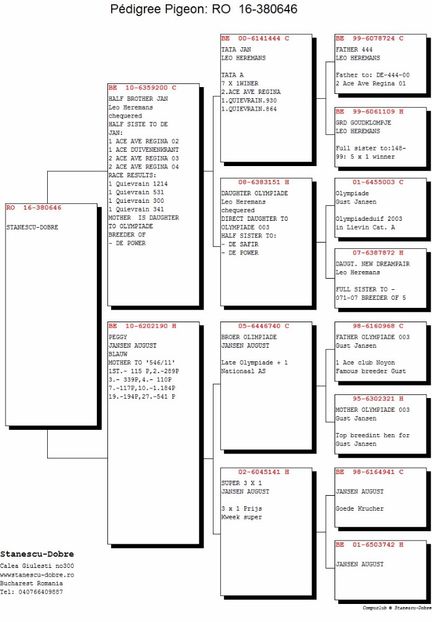 Stanescu-Dobre-RO-380646-2016-F-pedigree - Peggy
