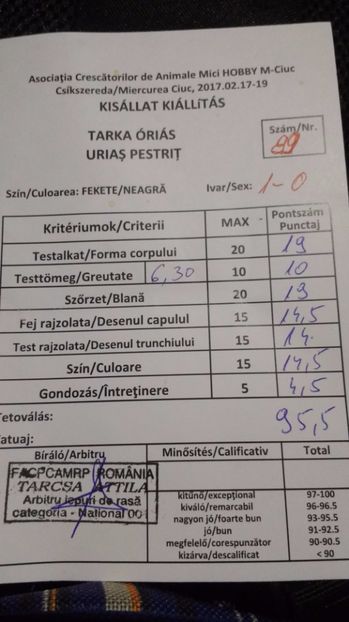 17 101 - fluture german 2017 feb