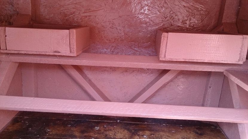  - Mii de Flori pentru 2017