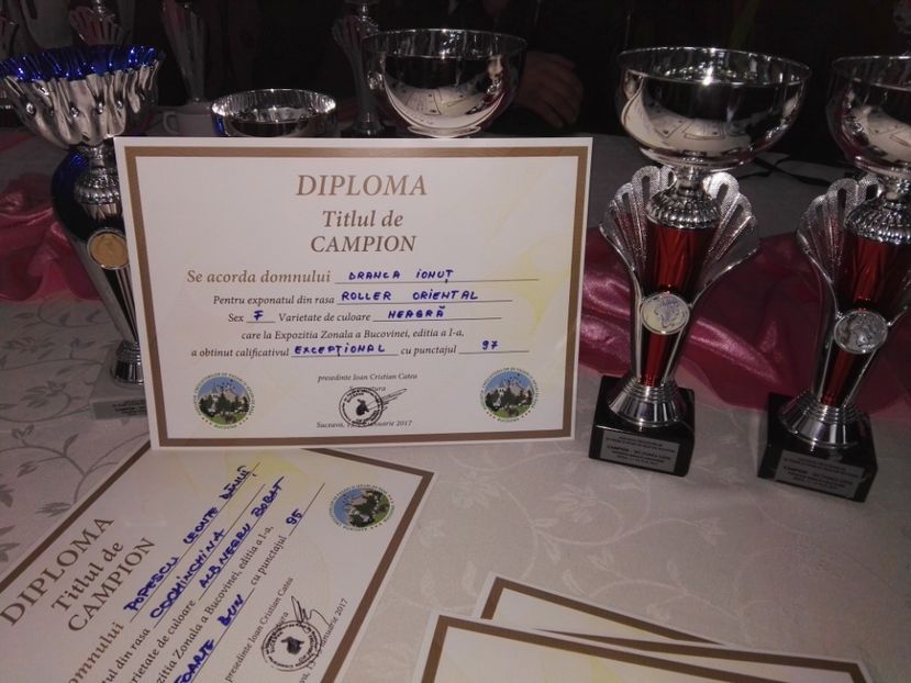  - Rezultate expozitia zonala Suceava 2017