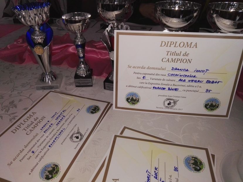  - Rezultate expozitia zonala Suceava 2017