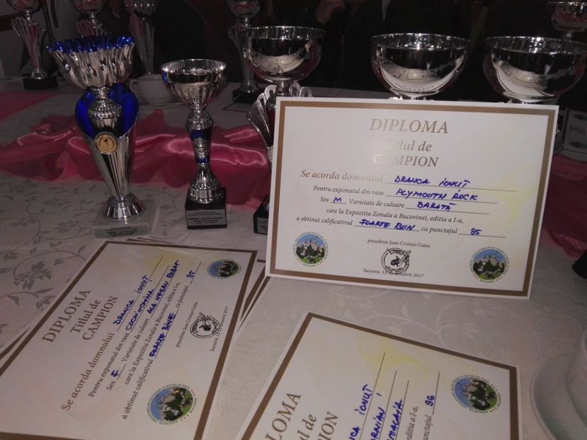  - Rezultate expozitia zonala Suceava 2017