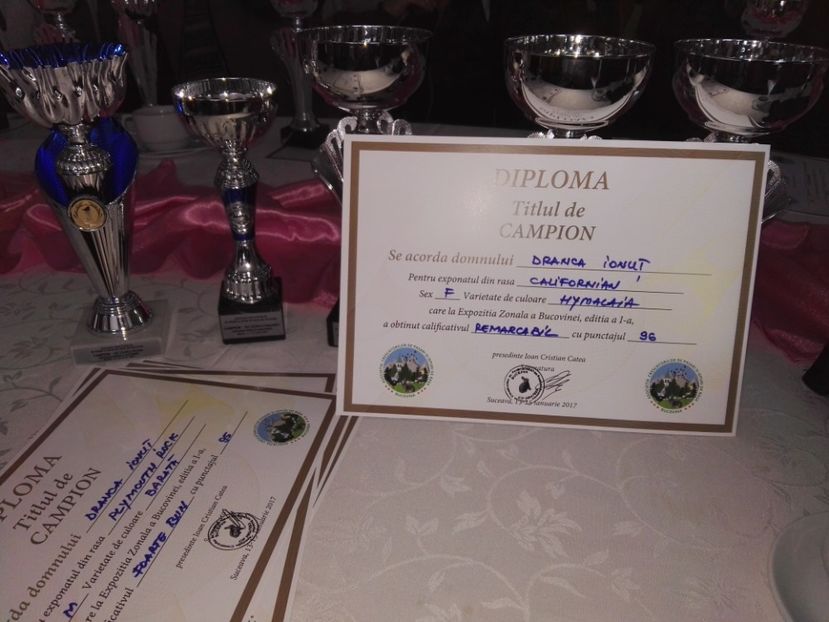  - Rezultate expozitia zonala Suceava 2017