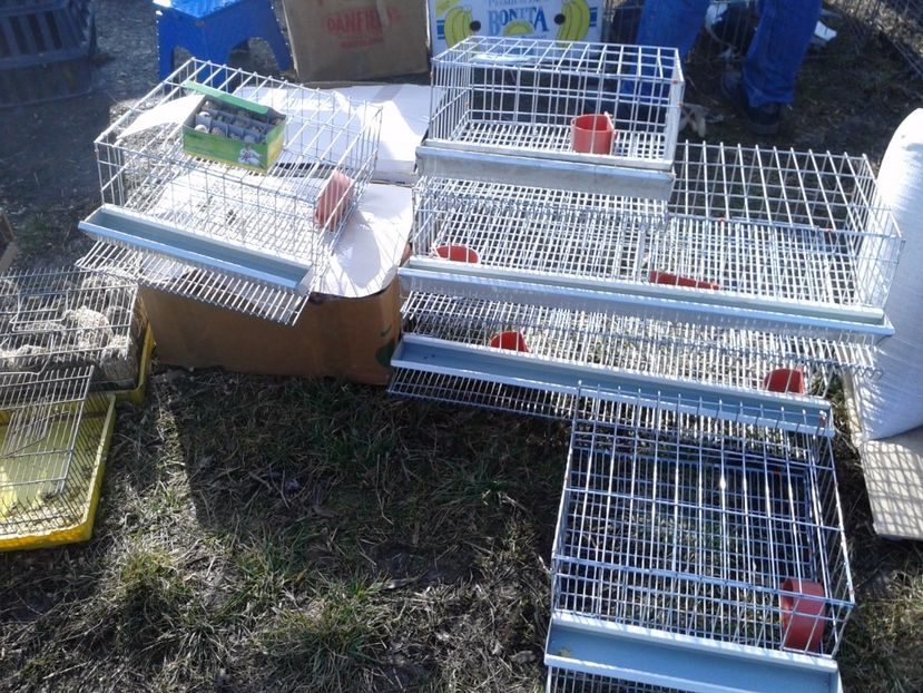 Fotografie0116 - 18 --- targ pancevo serbia 26 02 2017