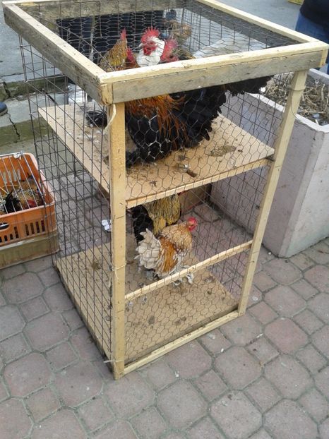 Fotografie0133 - 18 --- targ pancevo serbia 26 02 2017