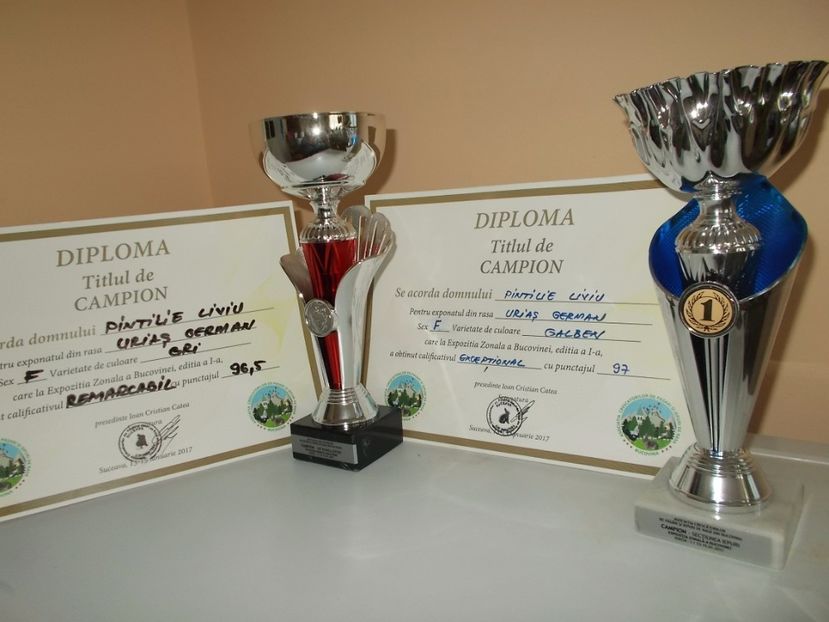  - REZULTATE EXPOZITIA BUCOVINA-SUCEAVA 2017