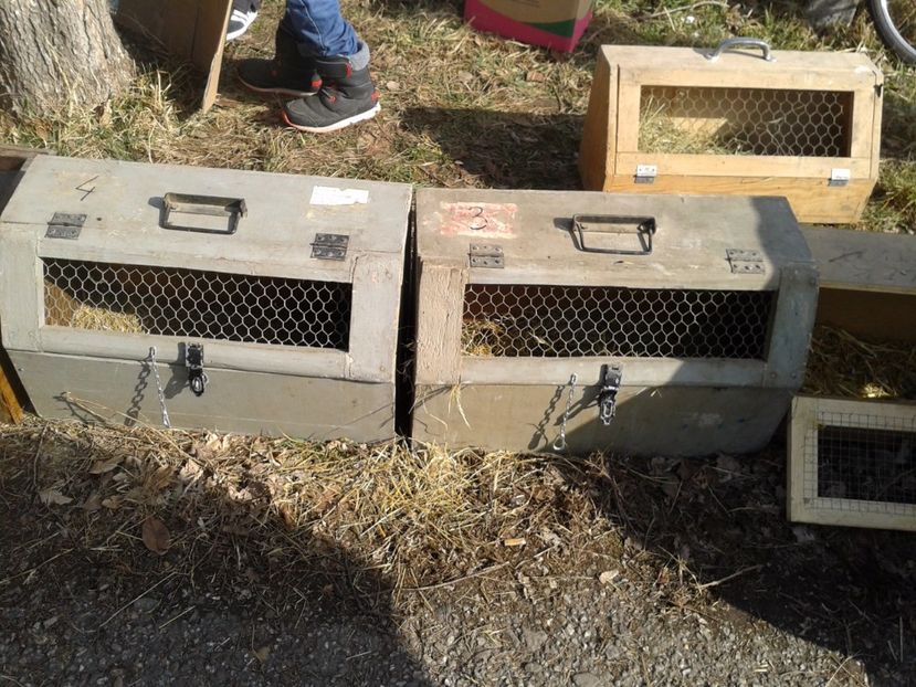 Fotografie0090 - 18 --- targ pancevo serbia 26 02 2017