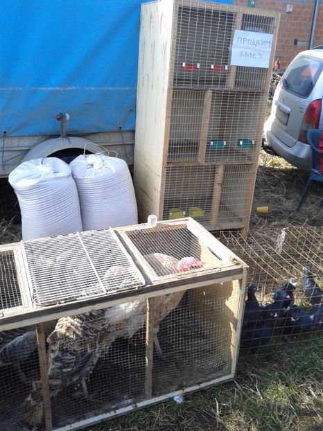 Fotografie0107 - 18 --- targ pancevo serbia 26 02 2017