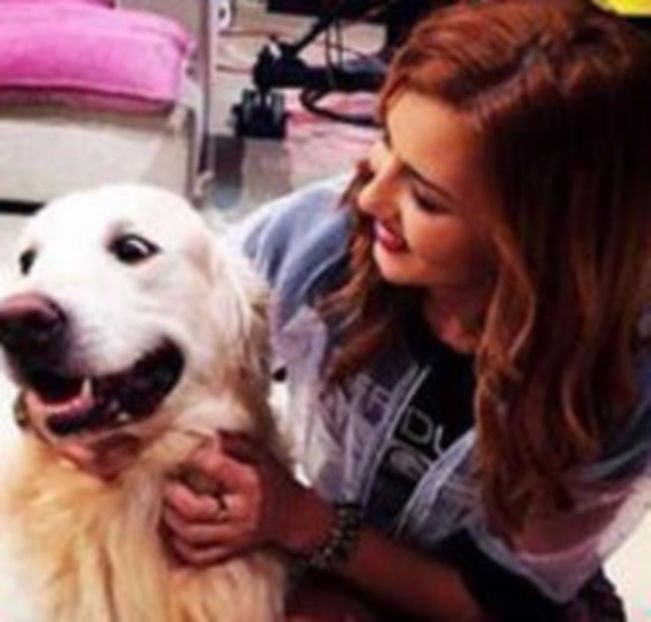 102862219_XRDSDPI - 01 ae - pmv - 3