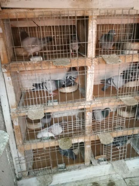  - 25-02-2017 imperechere