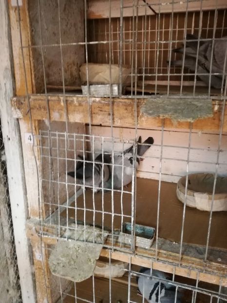  - 25-02-2017 imperechere