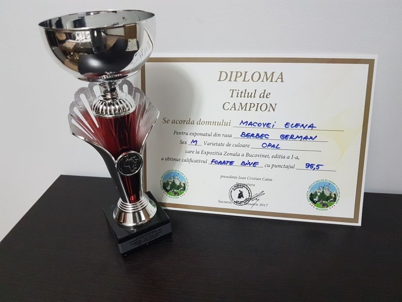 Campion berbec german 2017 - 0----------------CONTACT