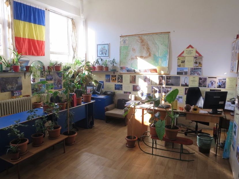  - Green office