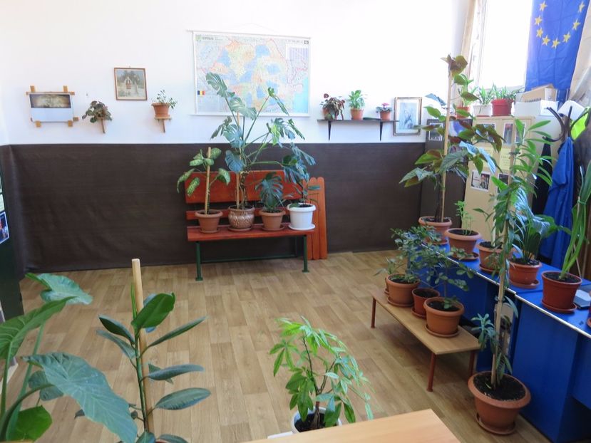  - Green office