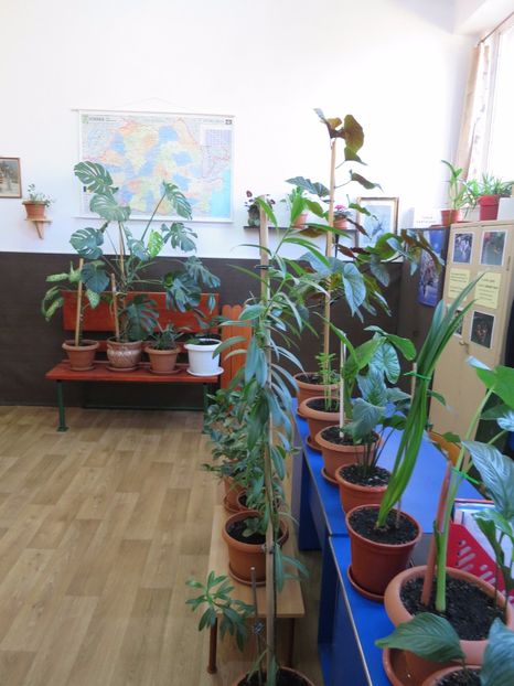  - Green office