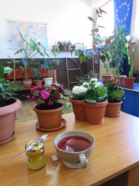  - Green office