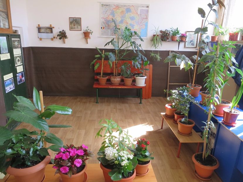  - Green office