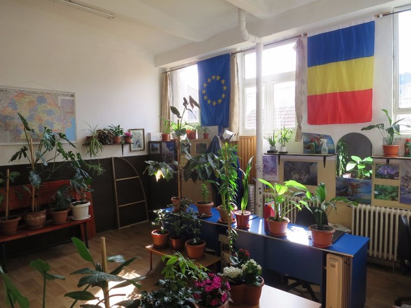  - Green office