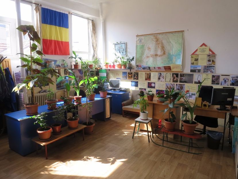  - Green office