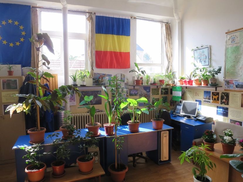  - Green office